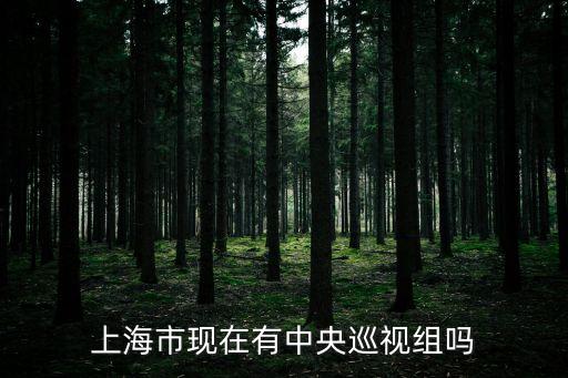上海市巡察到區，中央巡視組到上海怎么去投訴