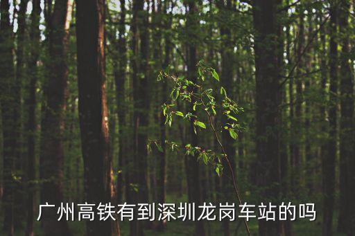 廣州高鐵有到深圳龍崗車站的嗎