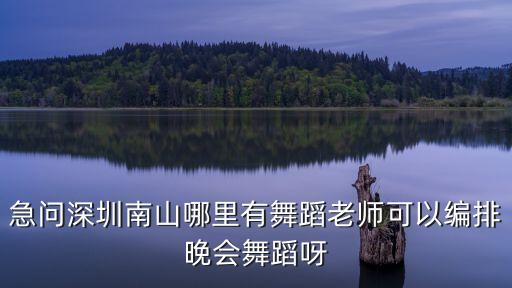 急問深圳南山哪里有舞蹈老師可以編排晚會舞蹈呀