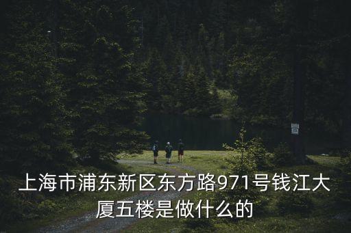 上海市正榮府，上海市浦東新區(qū)東方路971號(hào)錢江大廈五樓是做什么的