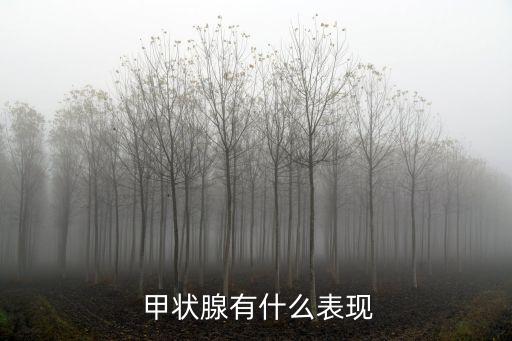 甲狀腺疾病癥狀,貓咪甲狀腺疾病癥狀
