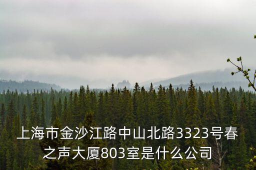 上海市宴會管家，上海市金沙江路中山北路3323號春之聲大廈803室是什么公司