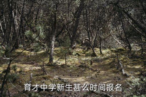 上海市育才明中學(xué)報(bào)名官網(wǎng)，育才中學(xué)新生甚么時(shí)間報(bào)名