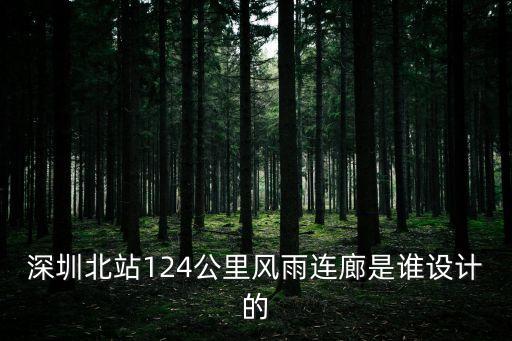 深圳北站124公里風雨連廊是誰設計的