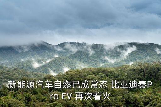 新能源汽車自燃已成常態 比亞迪秦Pro EV 再次著火