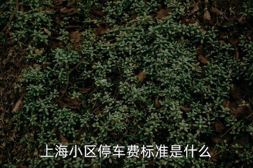 上海小區(qū)停車費標準是什么