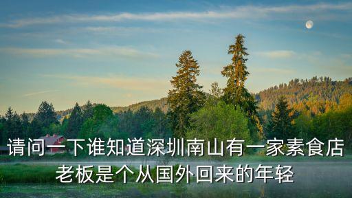 請問一下誰知道深圳南山有一家素食店老板是個從國外回來的年輕