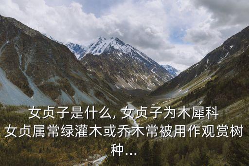  女貞子是什么, 女貞子為木犀科 女貞屬常綠灌木或喬木常被用作觀賞樹種...