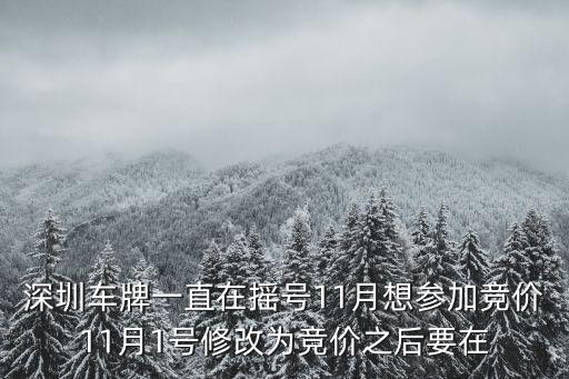 深圳車牌一直在搖號11月想參加競價11月1號修改為競價之后要在