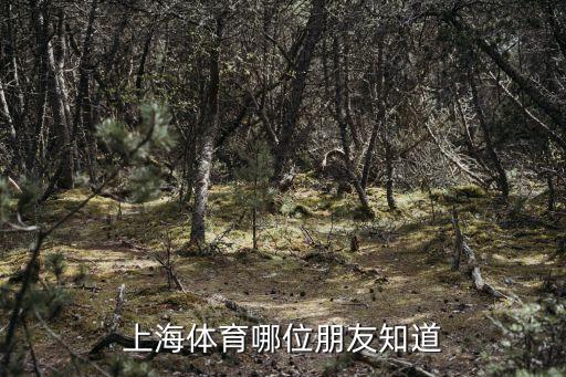 上海市 老年人體育協會官網，上海昂立智立方一對一教育機構地址6903