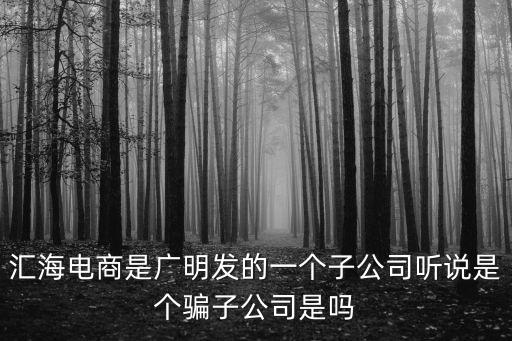 匯海電商是廣明發(fā)的一個子公司聽說是個騙子公司是嗎