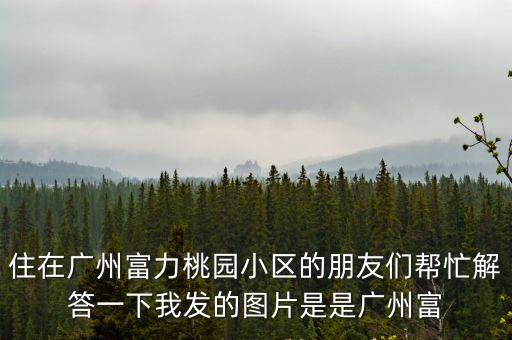 住在廣州富力桃園小區(qū)的朋友們幫忙解答一下我發(fā)的圖片是是廣州富