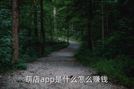 廣州萌店科技，要去面試一個職位做萌店APP的運營不知道這公司實力怎么樣