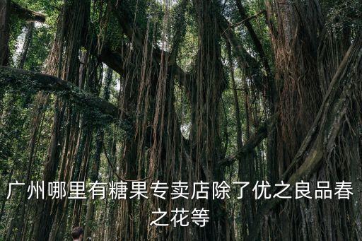 廣州哪里有糖果專賣店除了優(yōu)之良品春之花等
