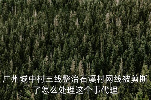 廣州城中村三線整改，廣州城中村改造方案