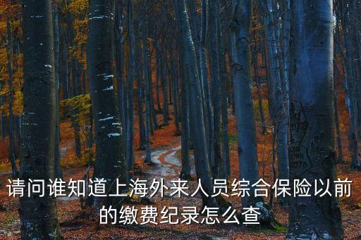 上海市綜合保險去哪里查，上海市外來人員綜合保險查詢余額