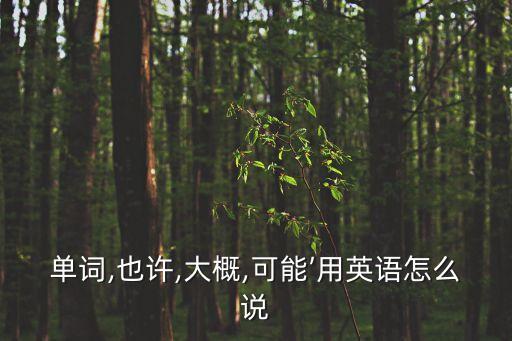 單詞,也許,大概,可能’用英語怎么說