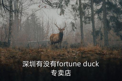 深圳有沒有fortune duck專賣店