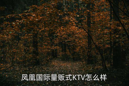 鳳凰國際量販?zhǔn)終TV怎么樣