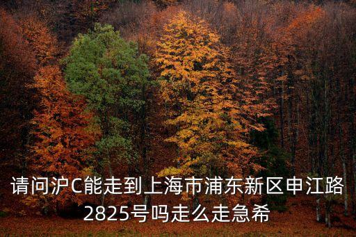 到上海市外環(huán)線申江路，請(qǐng)問(wèn)滬C能走到上海市浦東新區(qū)申江路2825號(hào)嗎走么走急希