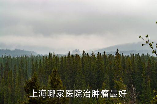 上海哪家醫(yī)院治腫瘤最好