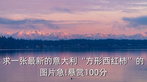 求一張最新的意大利“方形西紅柿”的圖片急!懸賞100分