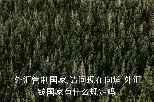 外匯匯款