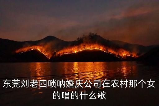 東莞鄉(xiāng)下歌曲，從從東莞到鄉(xiāng)下這是一首歌的歌詞請問叫什么名字