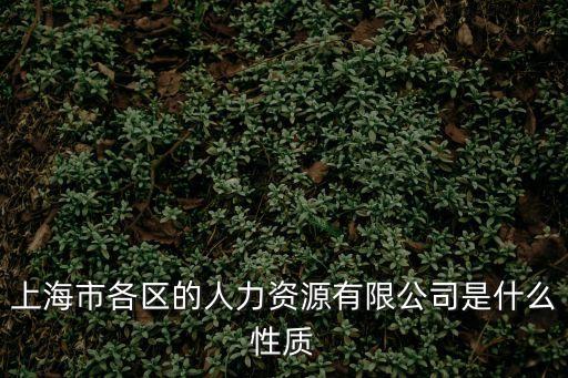 上海市各區的人力資源有限公司是什么性質