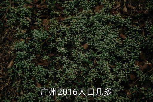 廣州 2016年 出生人口，廣州2016人口幾多