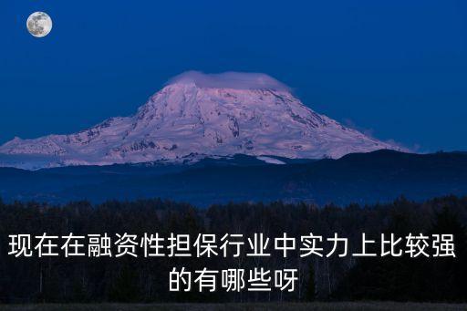 深圳萬盛投資管理有限公司，現在在融資性擔保行業中實力上比較強的有哪些呀