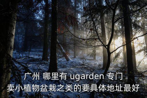 廣州 哪里有 ugarden 專門賣小植物盆栽之類的要具體地址最好
