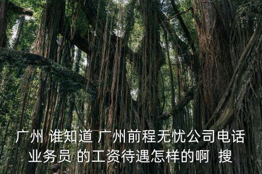 廣州 誰知道 廣州前程無憂公司電話業(yè)務(wù)員 的工資待遇怎樣的啊  搜