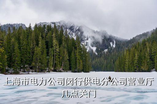 上海市電力公司閔行供電分公司營業廳幾點關門
