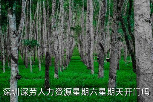 深圳深勞人力資源星期六星期天開門嗎
