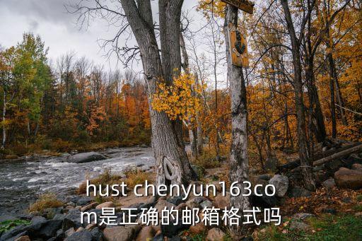 上海市民云信箱的后綴，hust chenyun163com是正確的郵箱格式嗎