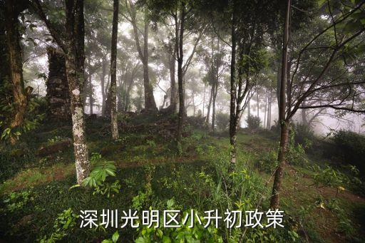 深圳光明區小升初政策