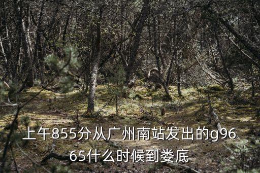 上午855分從廣州南站發(fā)出的g9665什么時候到婁底