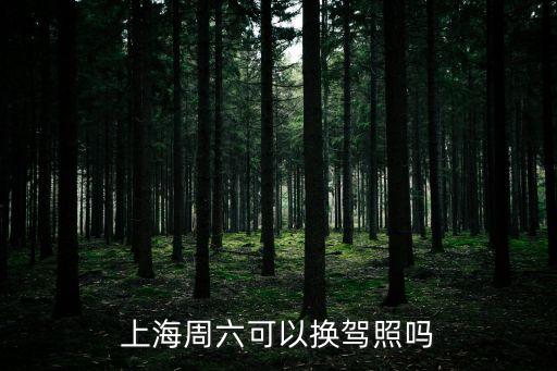 上海周六可以換駕照嗎