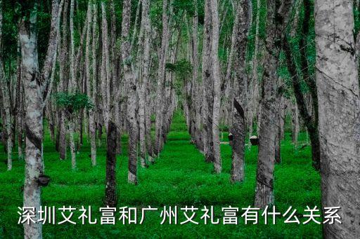 深圳艾禮富和廣州艾禮富有什么關系
