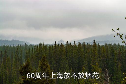 上海市嚴(yán)禁燃放煙花炮竹，上海居民住宅小區(qū)內(nèi)是否允許燃放煙花爆竹