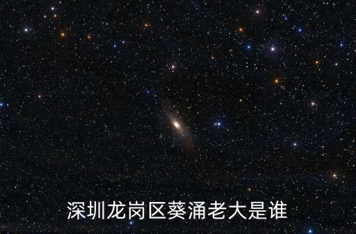 深圳龍崗區葵涌老大是誰