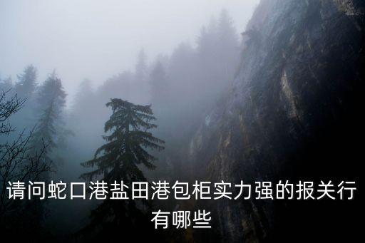 請問蛇口港鹽田港包柜實力強的報關行有哪些