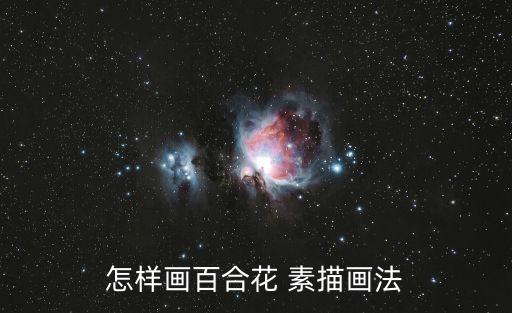 花素描,素描怎么畫牡丹花?這里有很多!