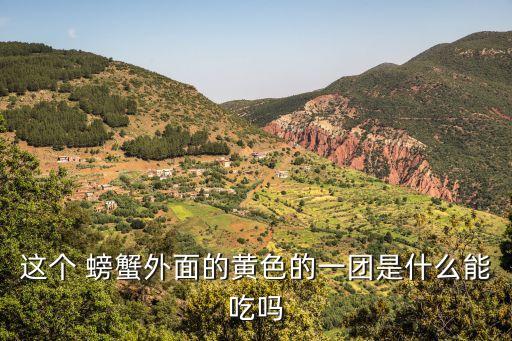 這個 螃蟹外面的黃色的一團是什么能吃嗎