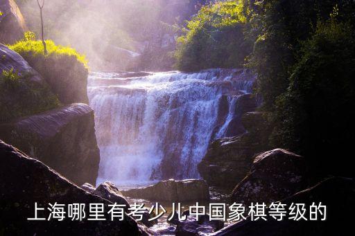 上海市業余象棋級位證書，上海市職業培訓賬戶卡有什么用對哪些人員有用里面有些什么