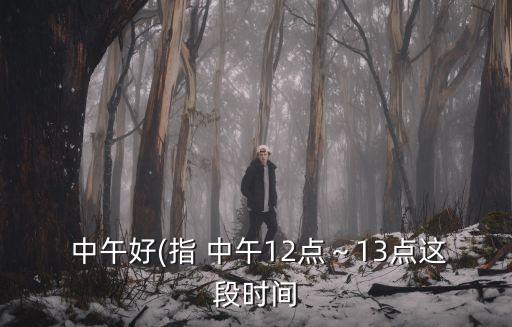 中午好用英語怎么說,女士們先生們中午好用英語怎么說