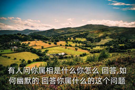 什么的回答
