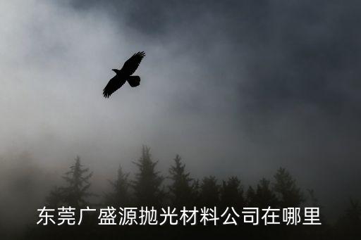 東莞廣盛源拋光材料公司在哪里