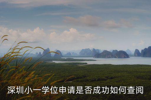 深圳小一學(xué)位申請(qǐng)是否成功如何查閱